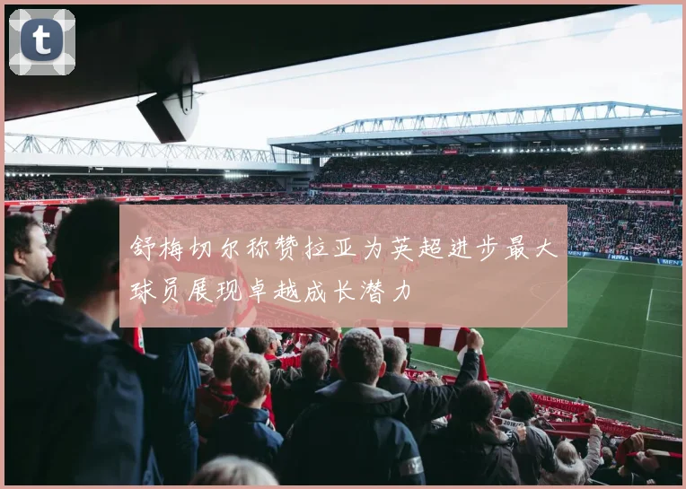 舒梅切尔称赞拉亚为英超进步最大球员展现卓越成长潜力