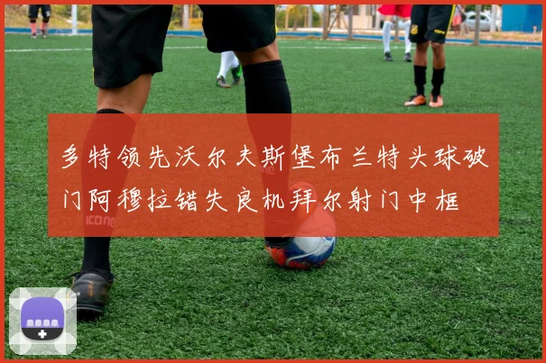 多特领先沃尔夫斯堡布兰特头球破门阿穆拉错失良机拜尔射门中框