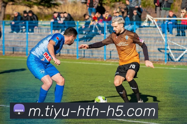 华体会体育品牌故事