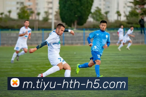 华体会体育服务体系